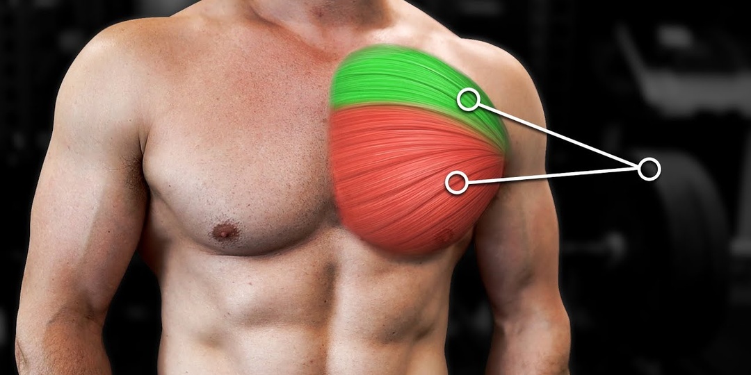 5 ошибок в тренировках, из-за которых не растут грудные мышцы: Их совершают даже опытные атлеты