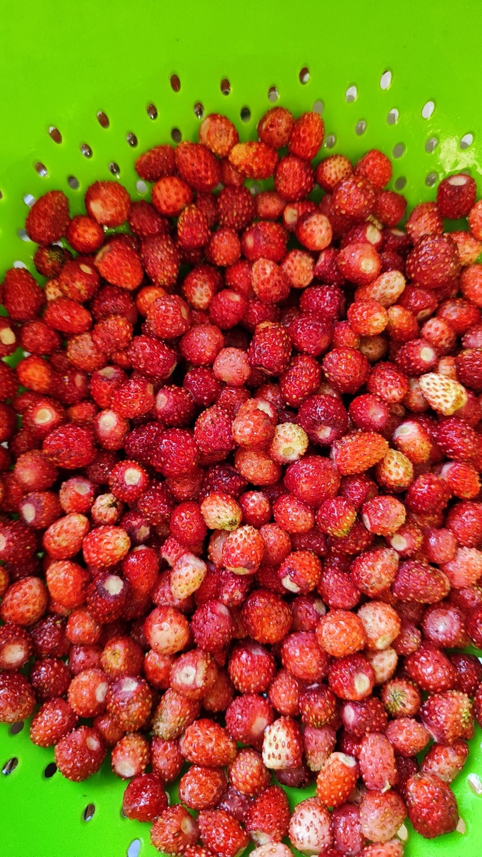 Красивая и ароматная 🍓