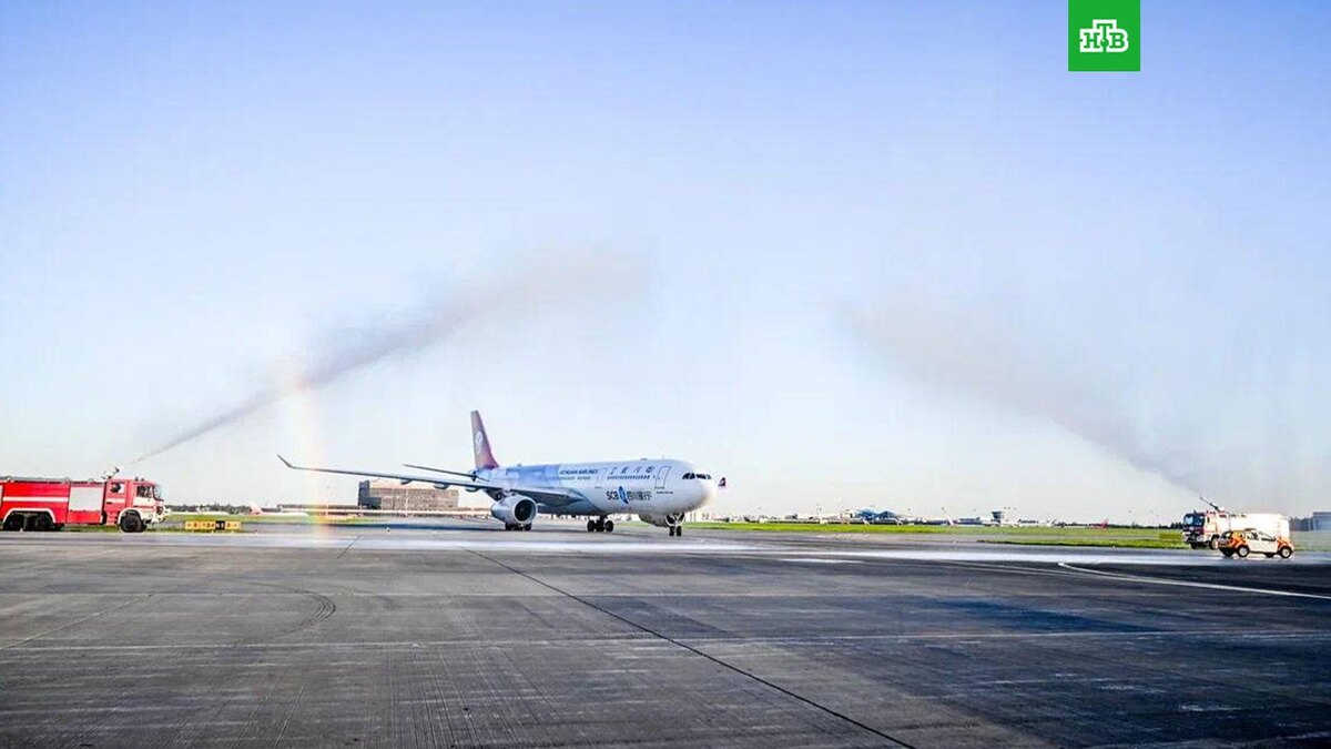    Фото: svo_online / t.me