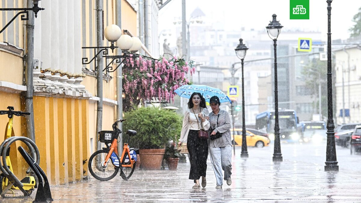    Фото: РИА Новости © 2025, Сергей Бобылев