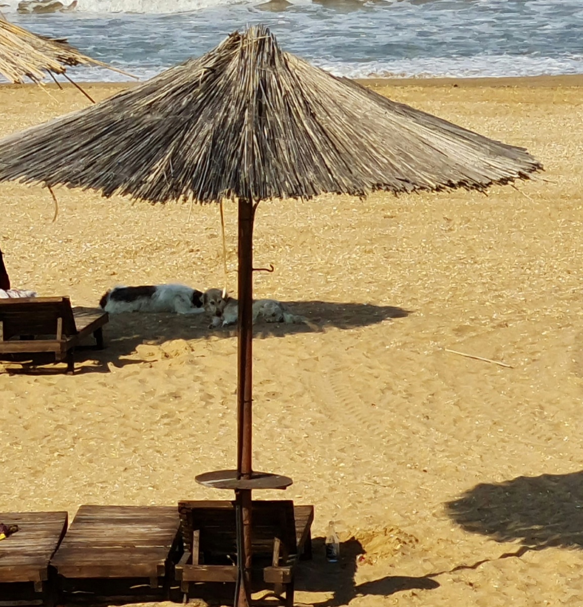 Пляж в Избербаше. Каспийское море.