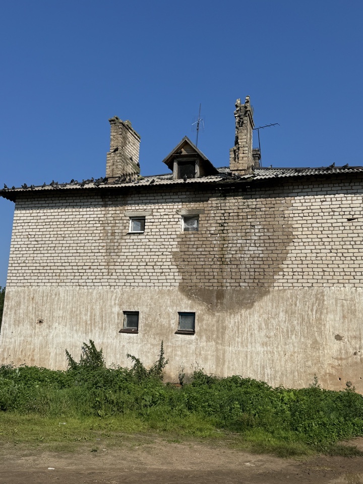 Голубей на крыше по местным меркам мало! Большее количество запечатлеть не удалось. Капризничают!