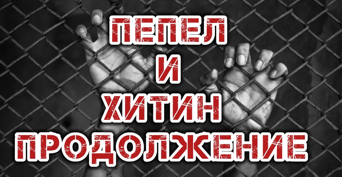 Картинка из интернета 