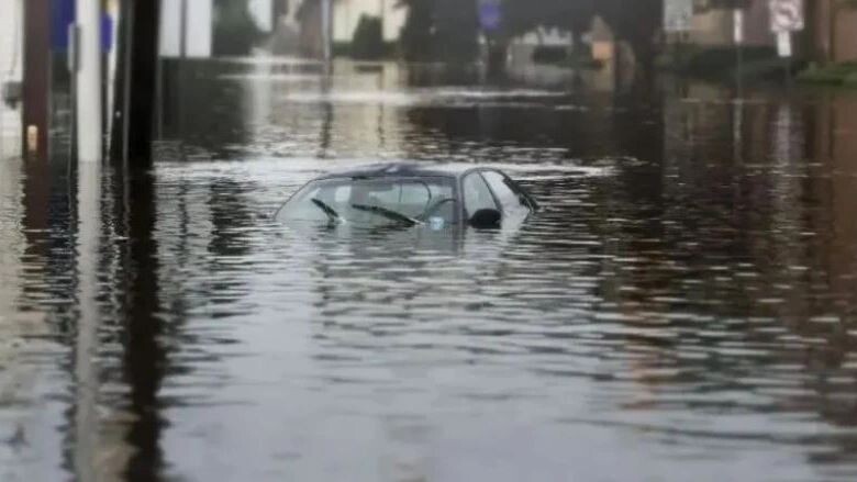    Фото: Sabina Zak/Shutterstock/Fotodom