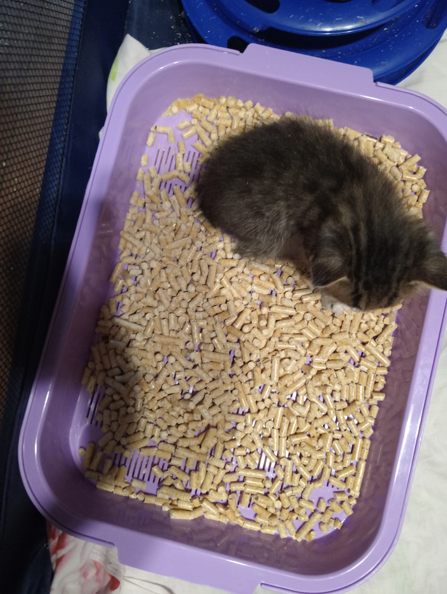 а потом закопаю...я умею!