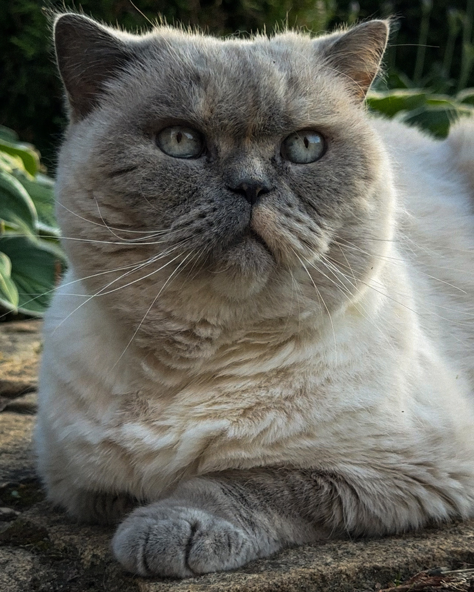 Рита в саду