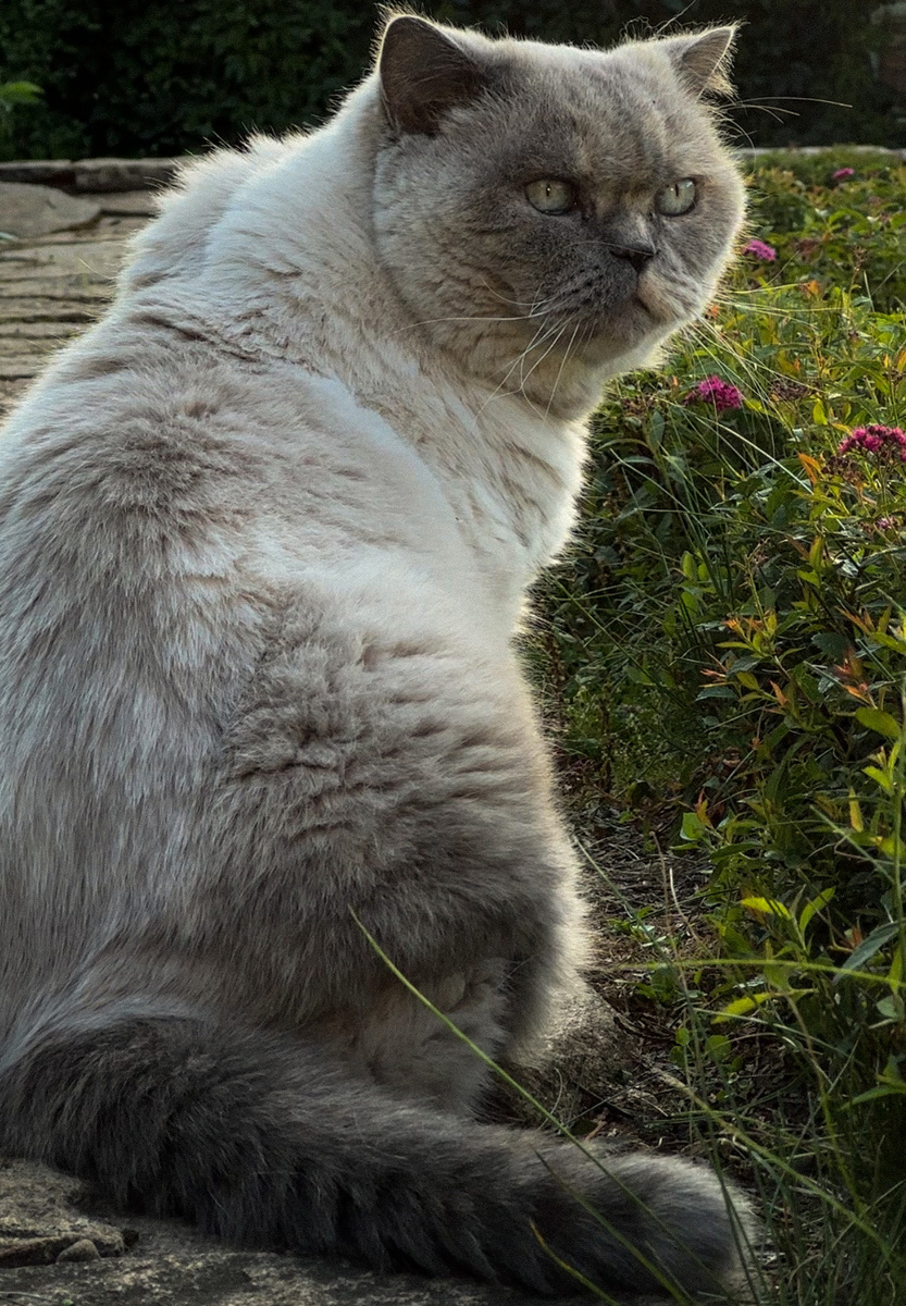 Рита в саду