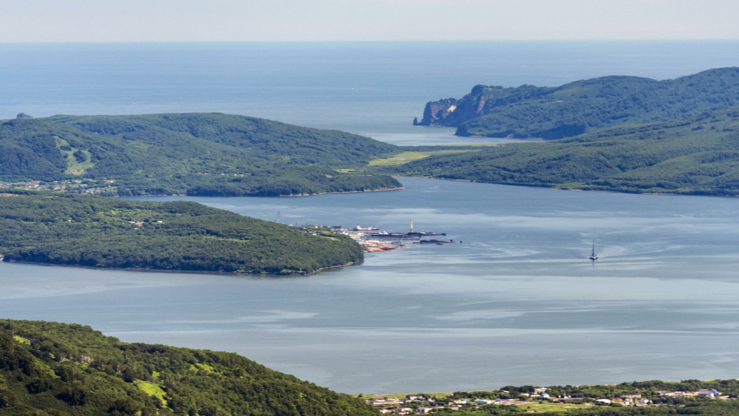    © Serguei Fomine/Globallookpress