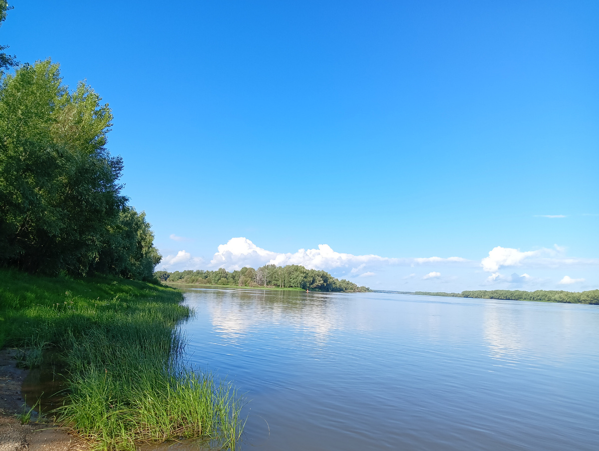 Фото Елены Шантаренко t.me/moscow_mylove