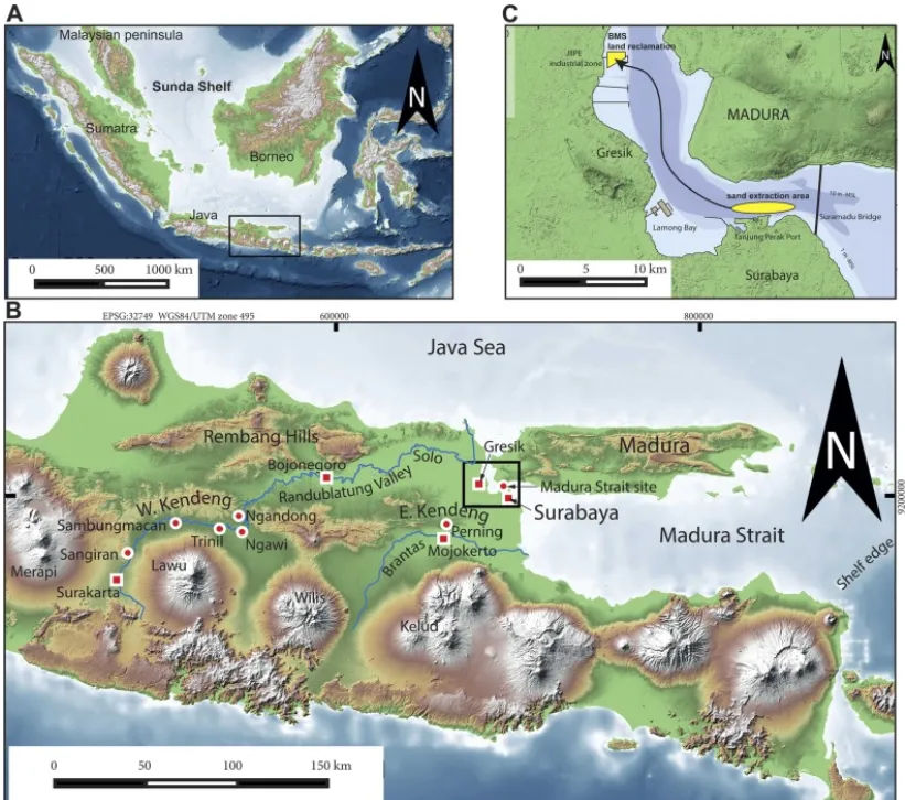 Карта из трёх частей, показывающая регион шельфа Сунда (A), восточную Яву с местами находок гоминидов (B) и конкретный район добычи песка в проливе Мадура к северу от Сурабаи, где были обнаружены окаменелости (C). 2025