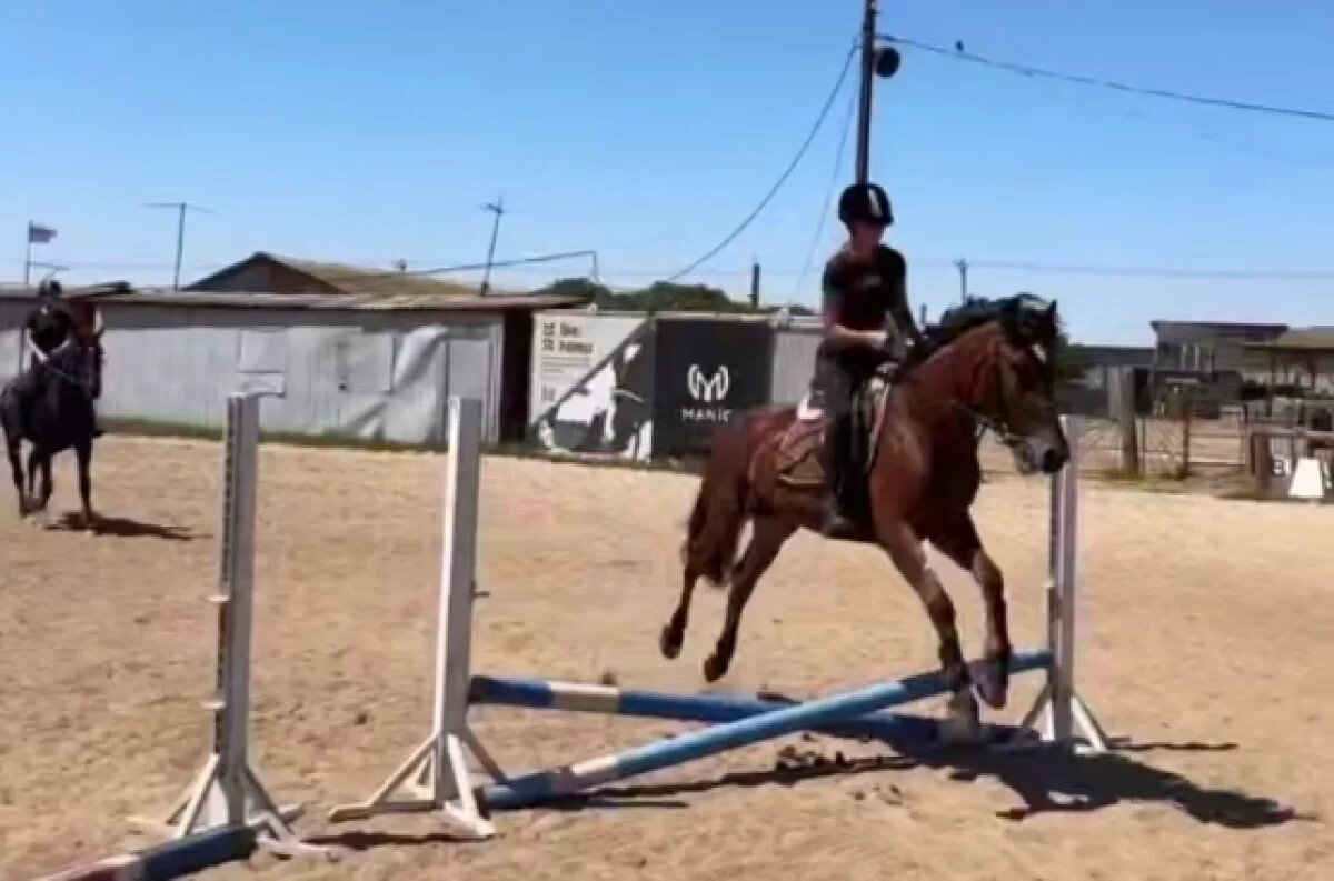    В мэрии Волгограда показали красоту конного спорта – занятия бесплатные