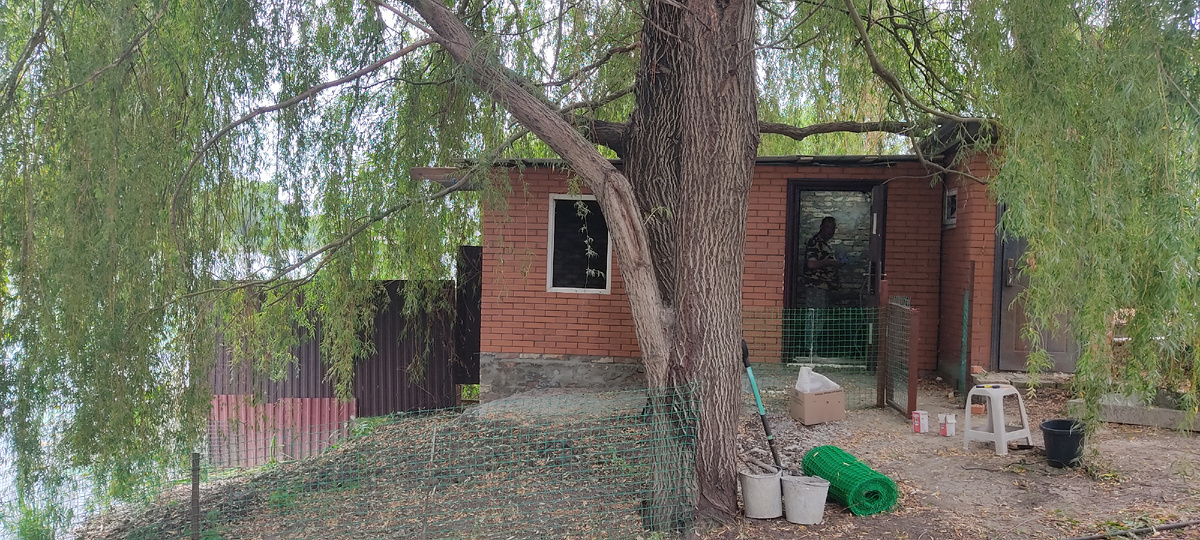 Игорь проводит в утятник свет