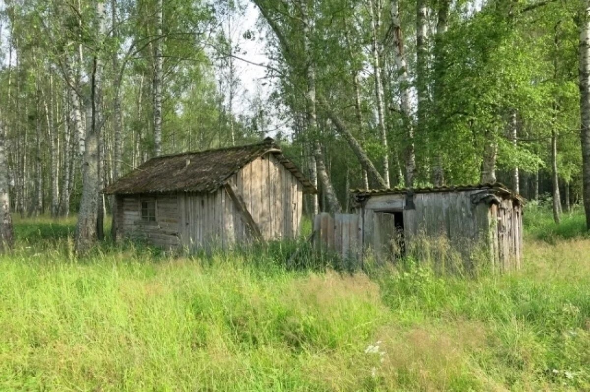    На земляничной поляне в лесу под Тверью грибник обнаружил добротную избу