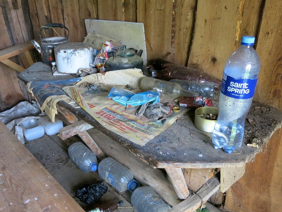    дом в лесу Фото: Из архива/ Семен Шишков