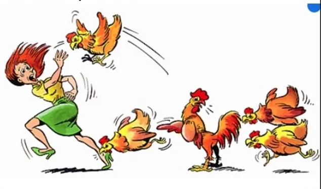 Рисунок из интернета. Люся воюет с курами.