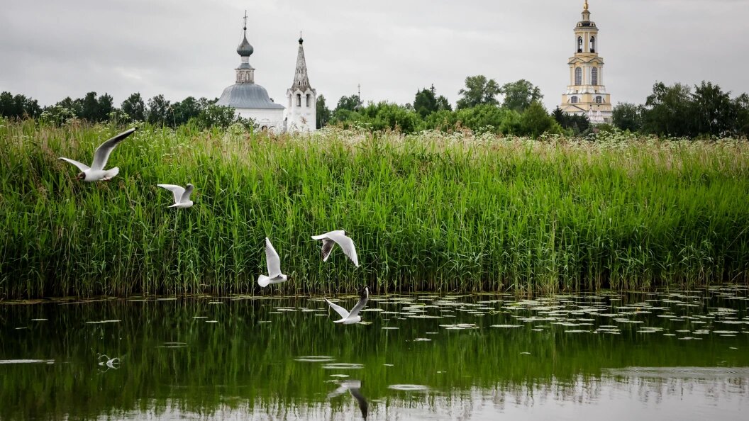    По народным приметам дождь в этот день обещает пасмурную погоду до конца лета. Фото: Roman Naumov/Globallookpress