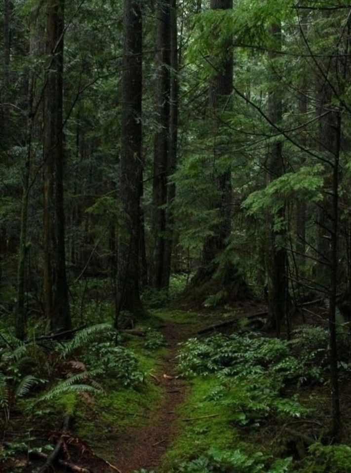 Фото из интернета 