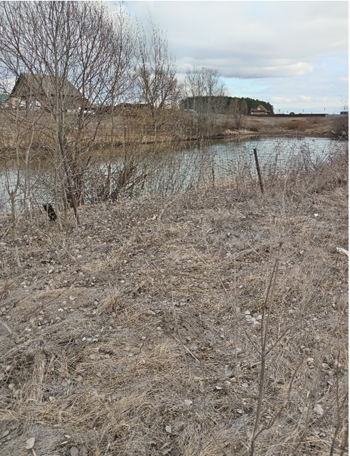 Противопожарный пруд «Котятник»