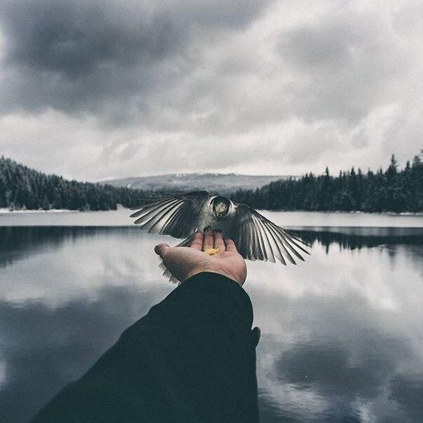 Такая Любовь ДАЁТ, НЕ ТРЕБУЯ НИЧЕГО ВЗАМЕН. Фото из открытых источников 