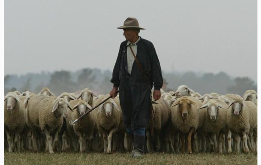 Фото из открытого источника в Яндексе