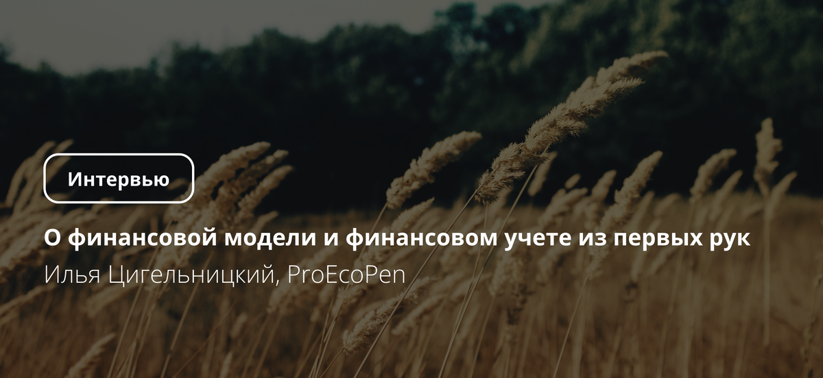 Финансовая модель и постановка финансового учёта