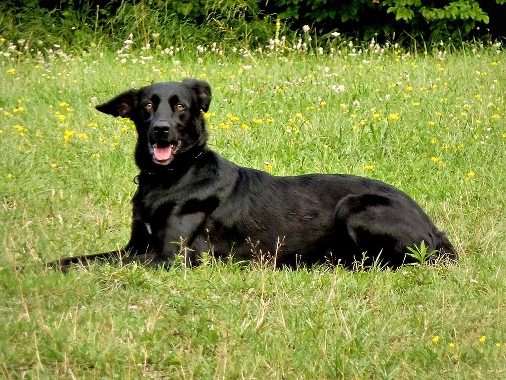 Доволен в любую погоду!