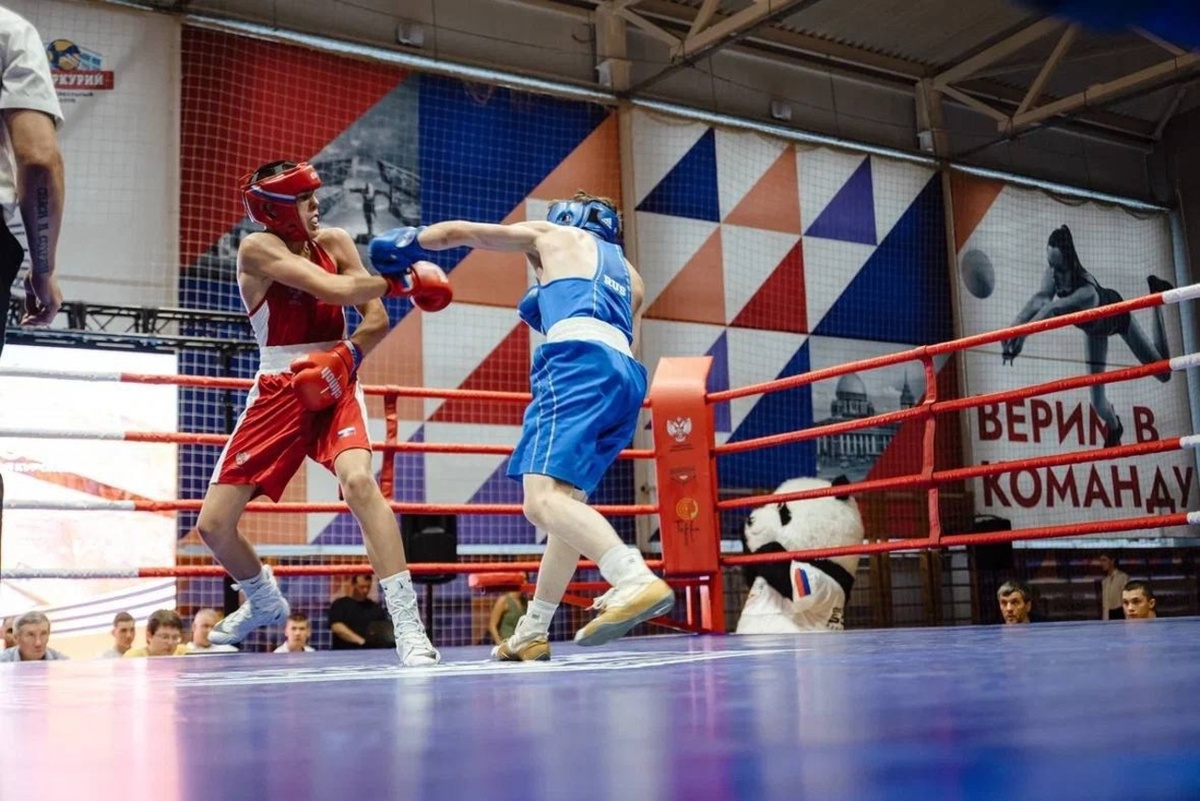    Матчевая встреча по боксу, посвящённая Курской битве