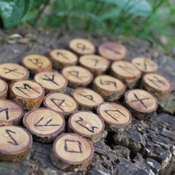 Фото из сети.