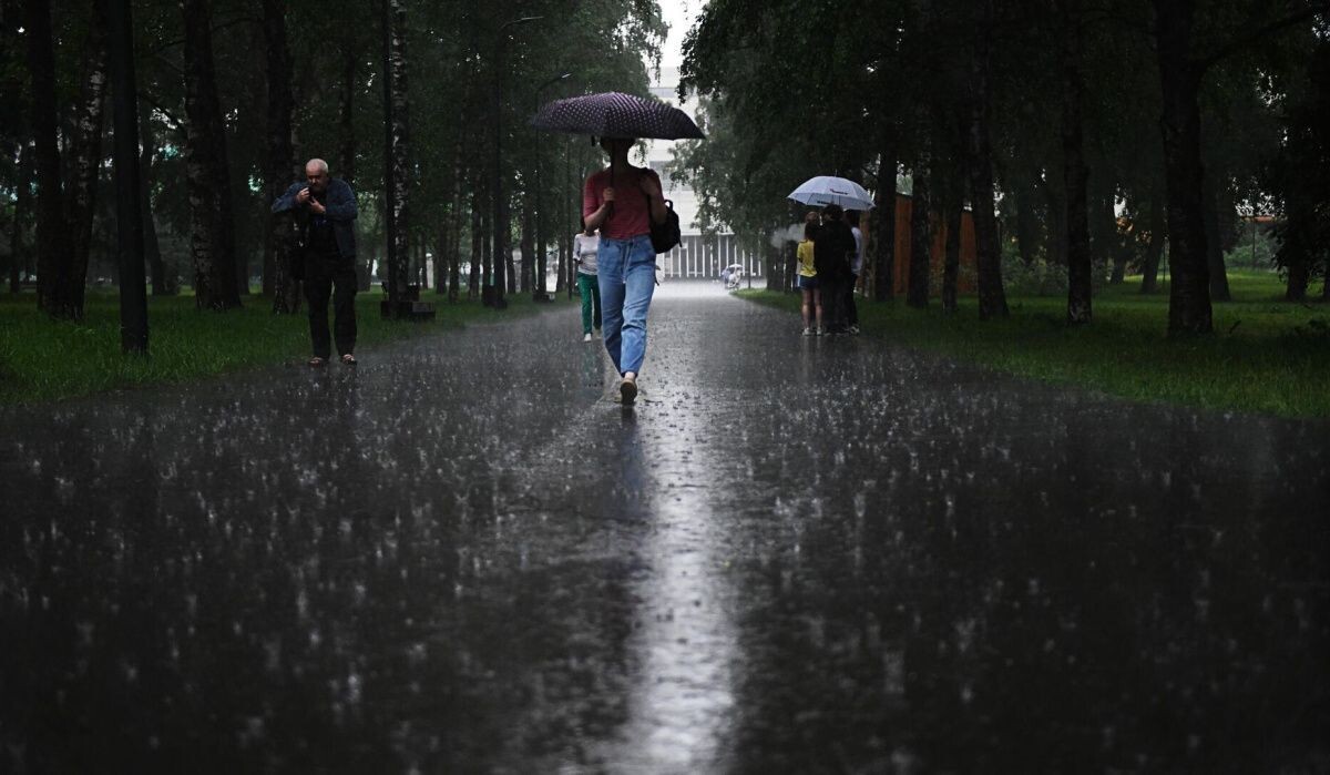     Прохожие во время дождя. Источник: © РИА Новости Автор фото: Валерий Мельников