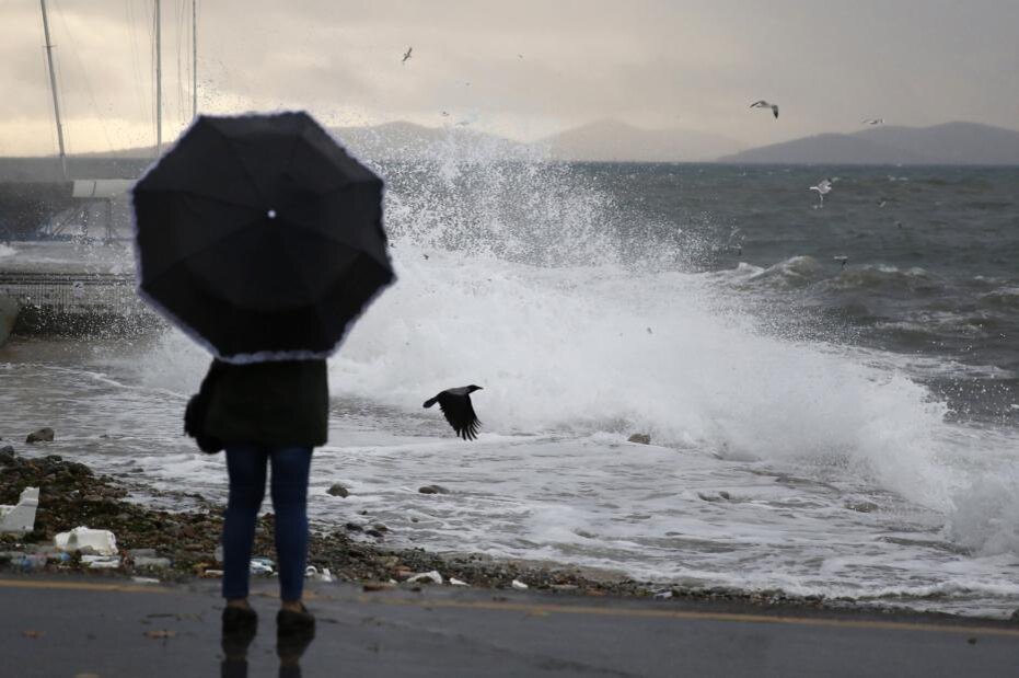    Shutterstock/FOTODOM