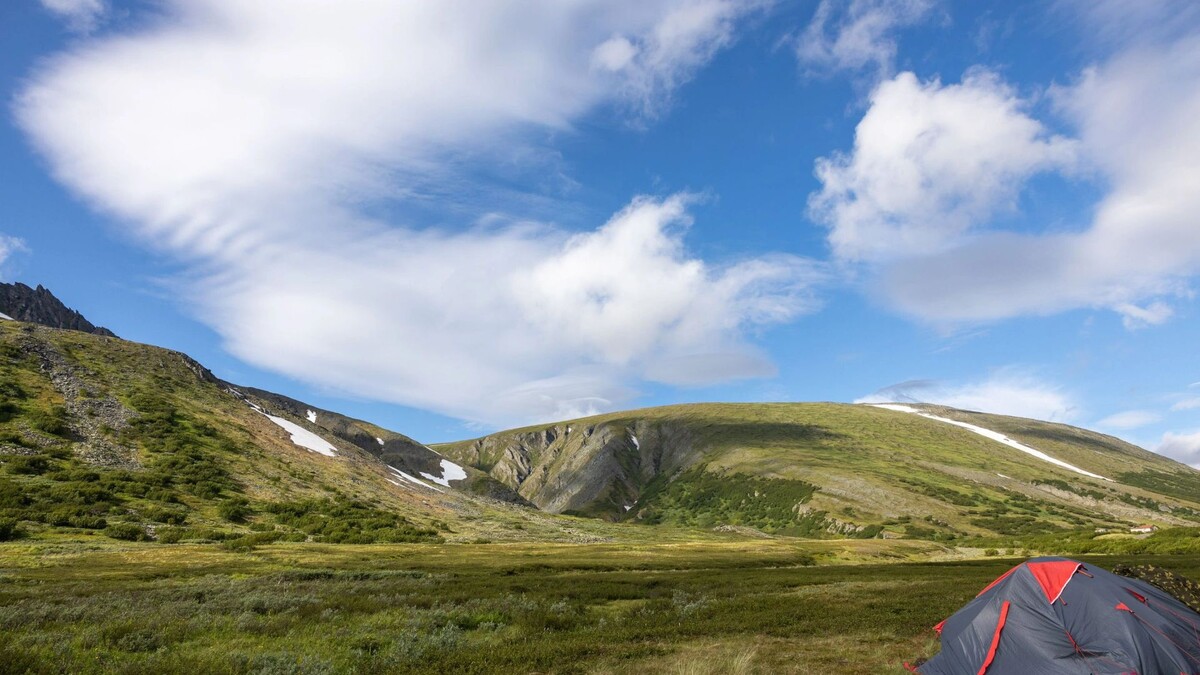    Фото: Федор Воронов / «Ямал-Медиа»