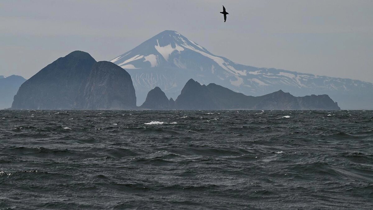   Глеб Щелкунов / Коммерсантъ