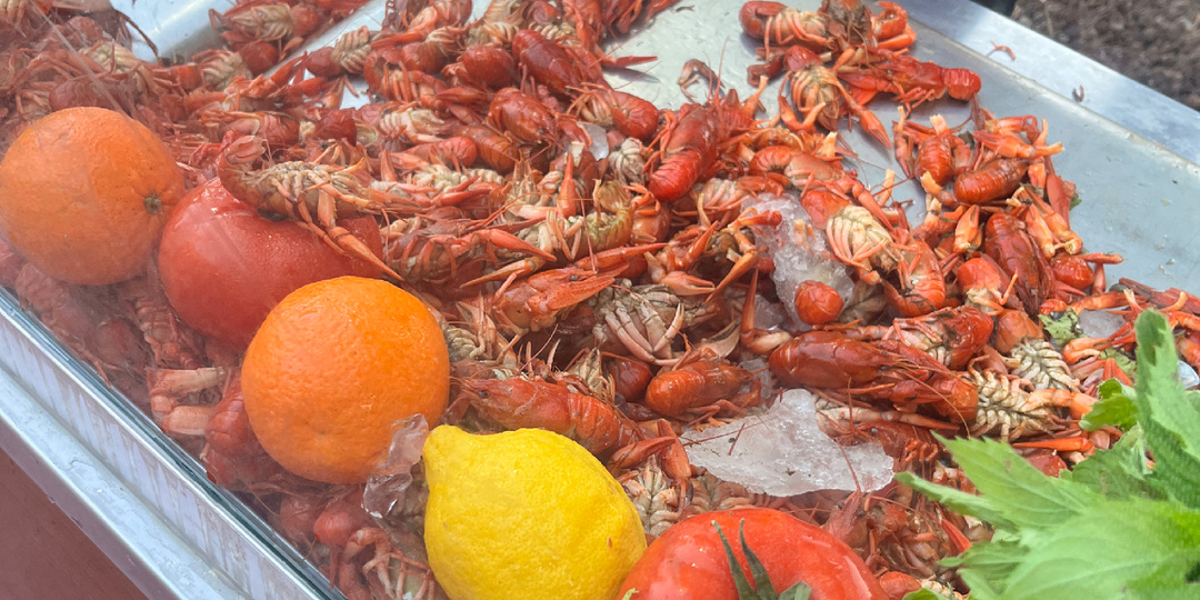 Рыбный день