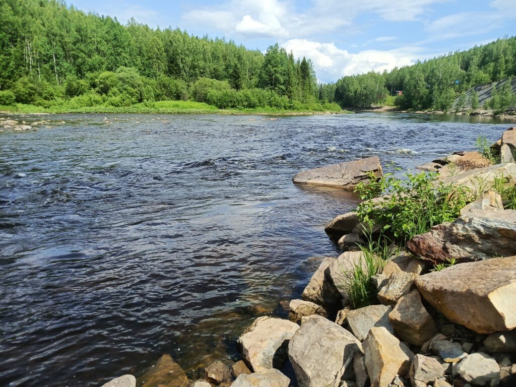    Фото: В курсе.ру Ульяна Бажанова