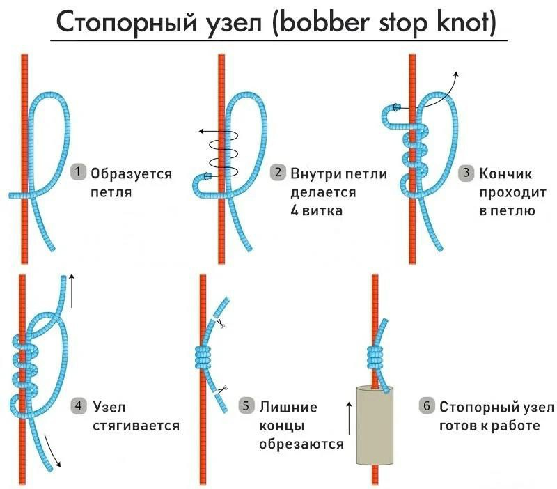 Фото с сайта: https://sun9-60.userapi.com