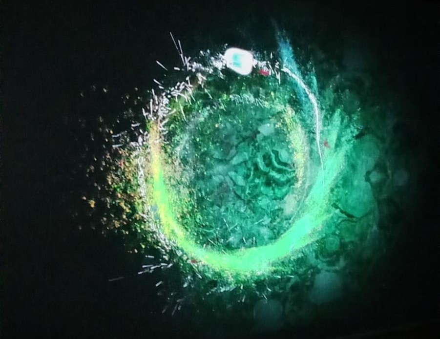 В статье все фото автора