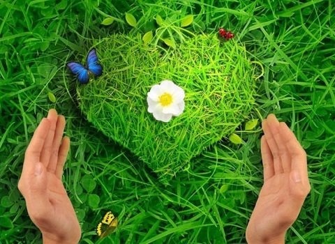 [caption id="attachment_11411" align="aligncenter" width="480"] Отношения без любви[/caption]