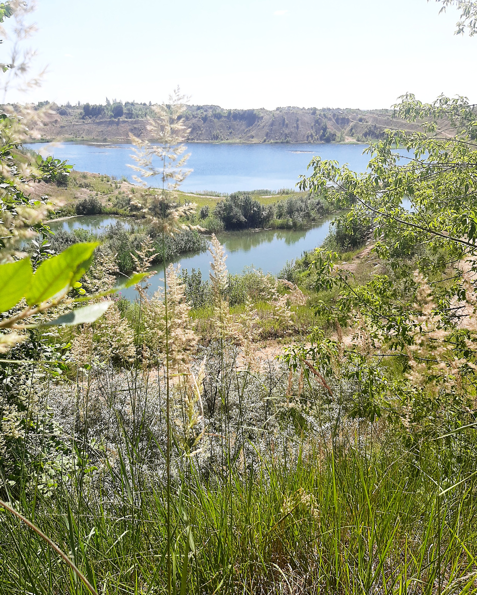 Шикарный карьер