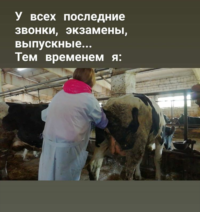 Оригинал: https://images.app.goo.gl/Nm4RGbn2aTQampTp6