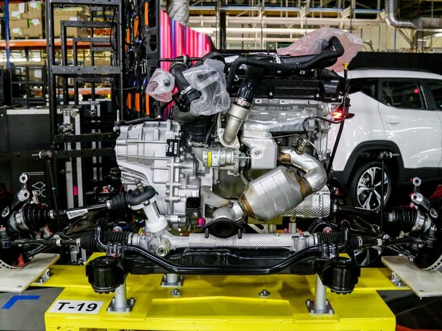    Фото: Москва 24/Лидия Широнина