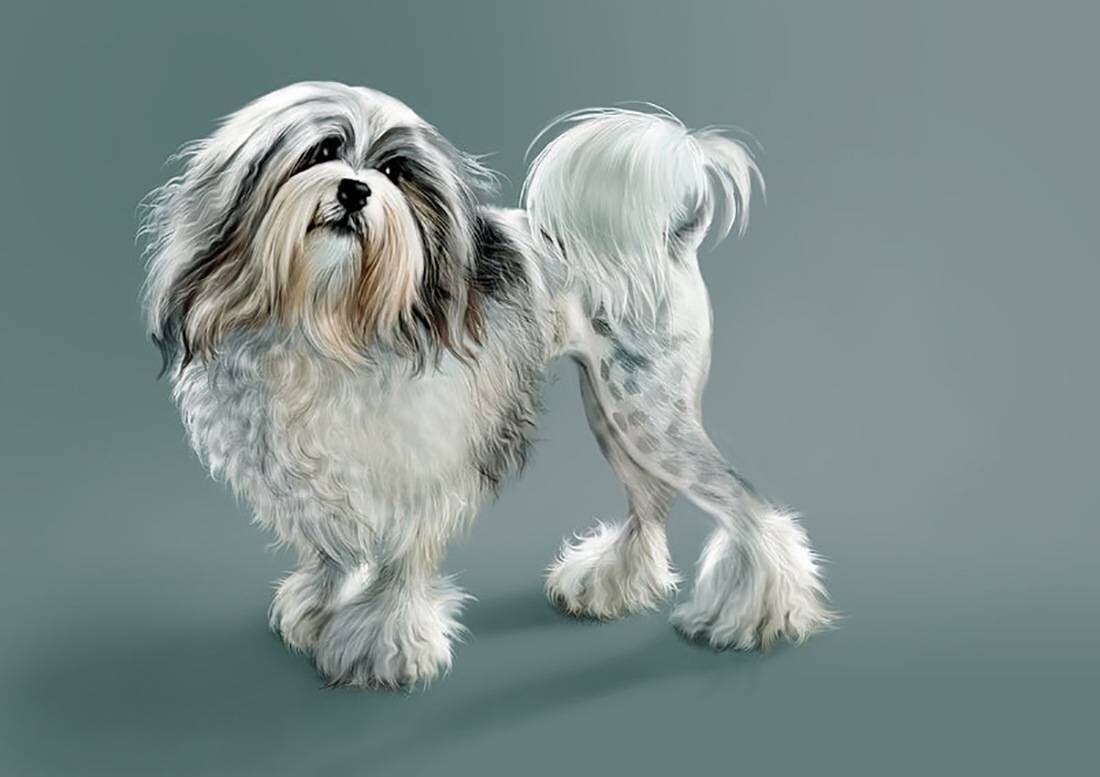 Самый дорогой!