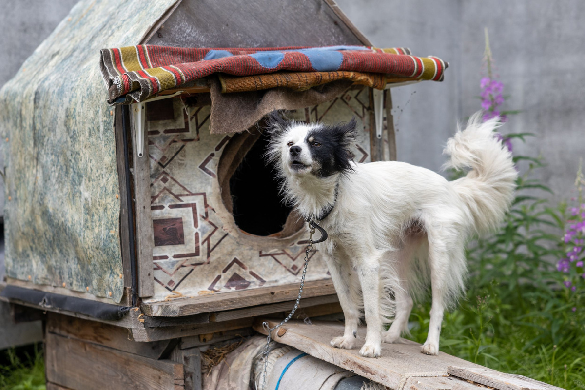 Фото: Фёдор Воронов/АНО «Ямал-Медиа»