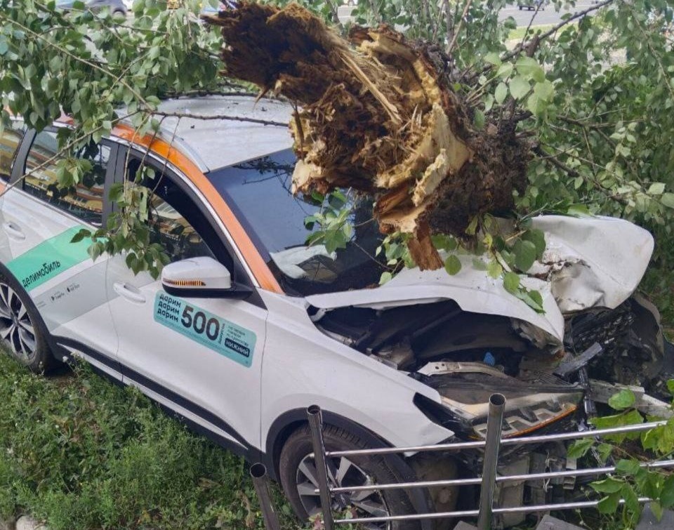    После наезда автомобиль продолжил движение, врезался в дерево, а затем в жилой дом