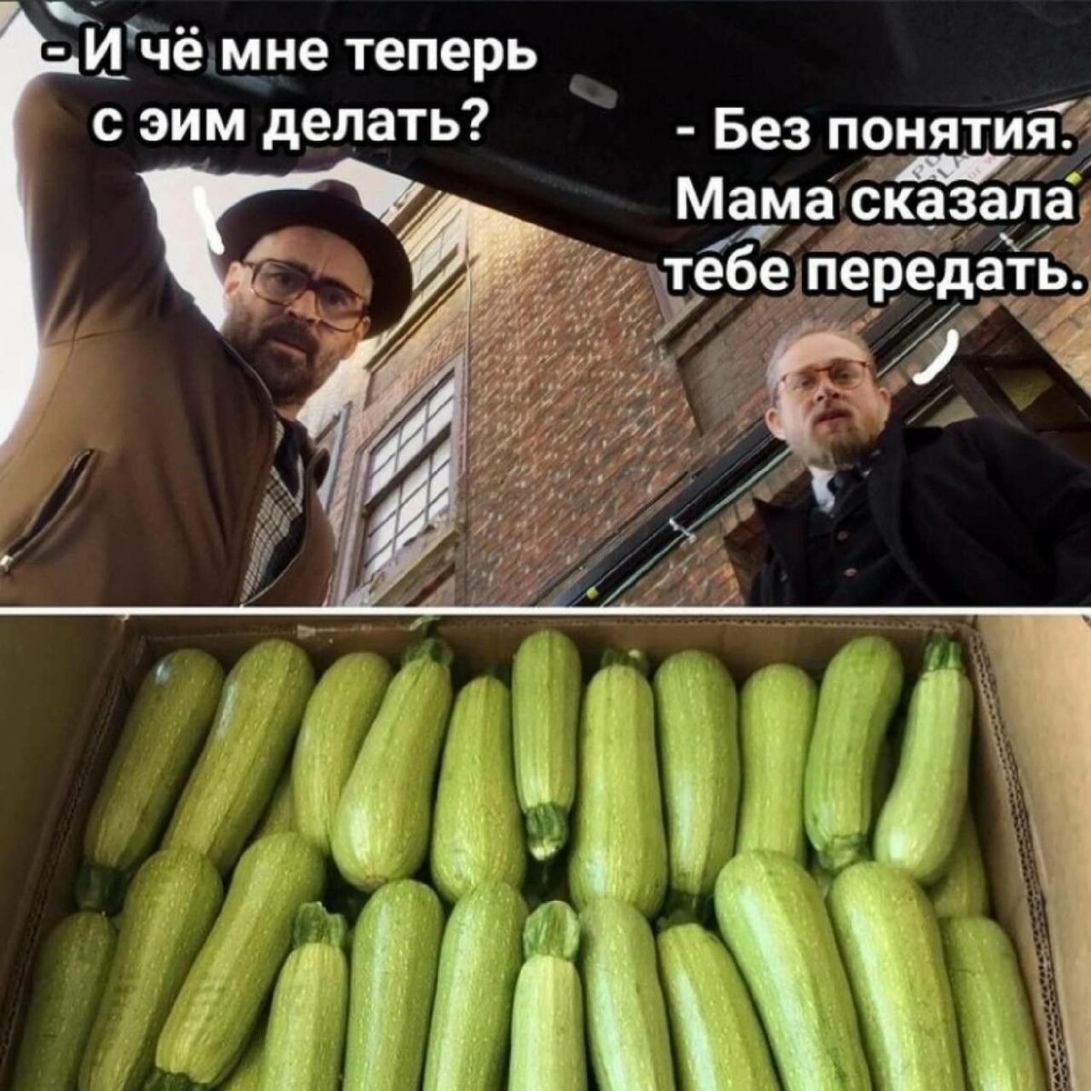 В урожайный год за сезон один кабачок меняет до 7 хозяев