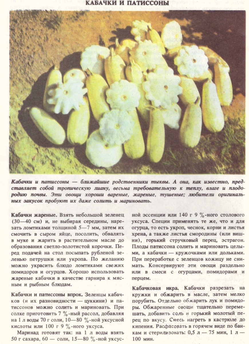 Продолжение ниже