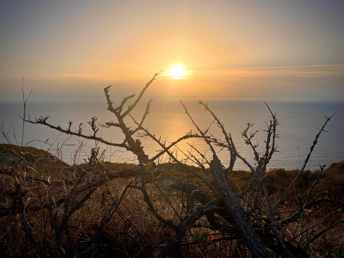 Идеально! Каракурт тоже оценит такие локации 👌