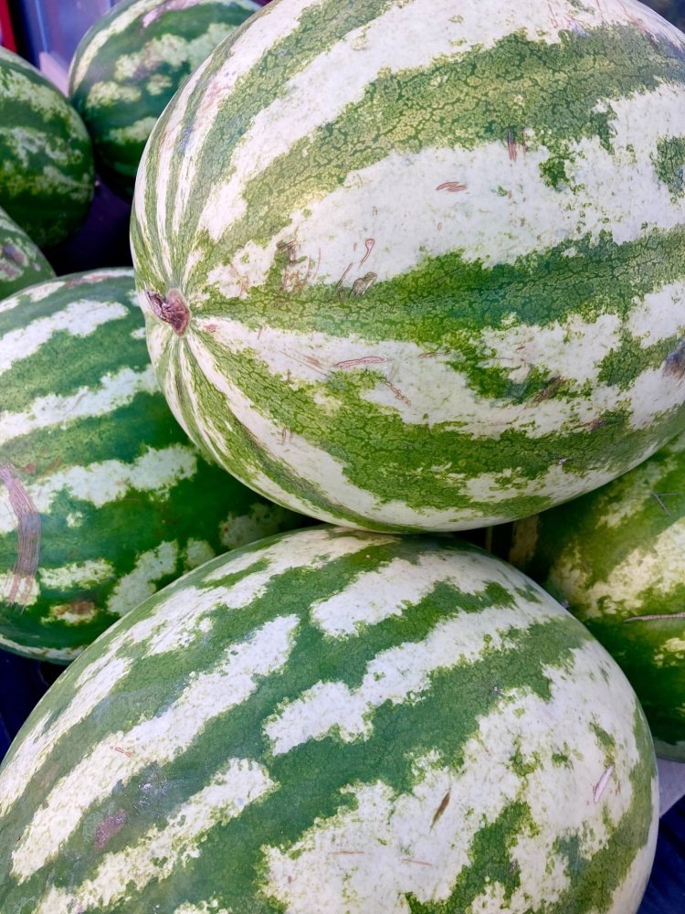    Эксперты Роспотребнадзора Югры дали рекомендации, как отличить хорошие дыни и арбузы от потенциально опасных