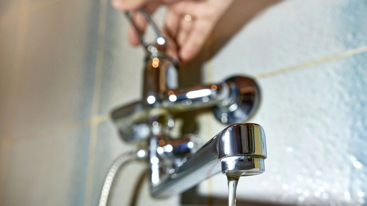    Фото: Vitstyle/Shutterstock/Fotodom