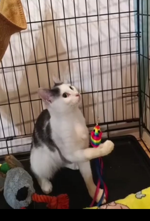 Но пока все равно карантин