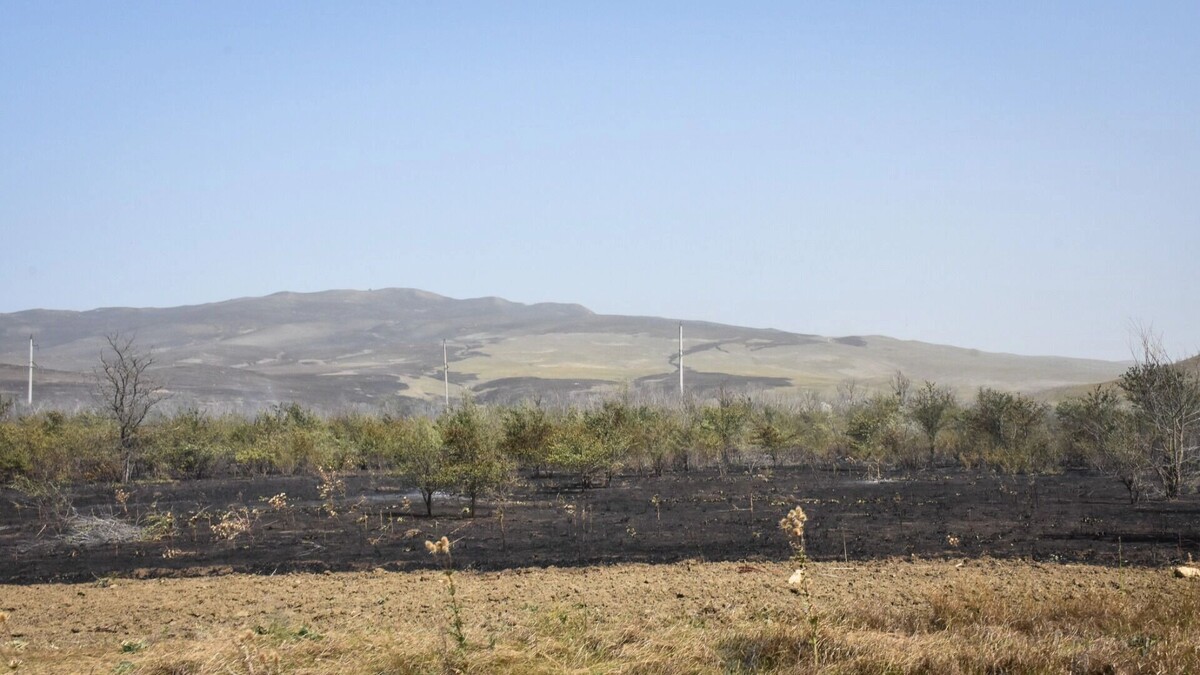     Источник: 1MI